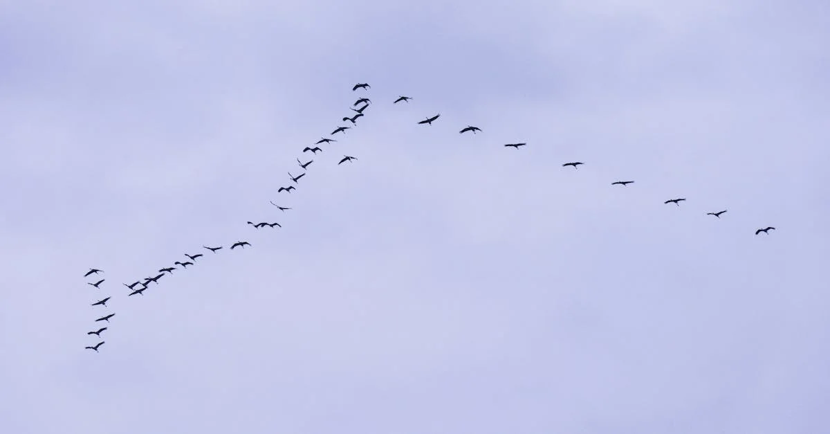 Multi‑Agent Orchestration: Patterns That Actually Work
